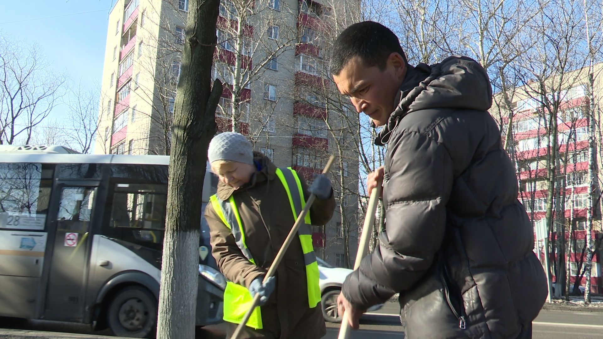 Реутов, благоустройство, уборка листвы, покраска деревьев, чистое подмосковье,