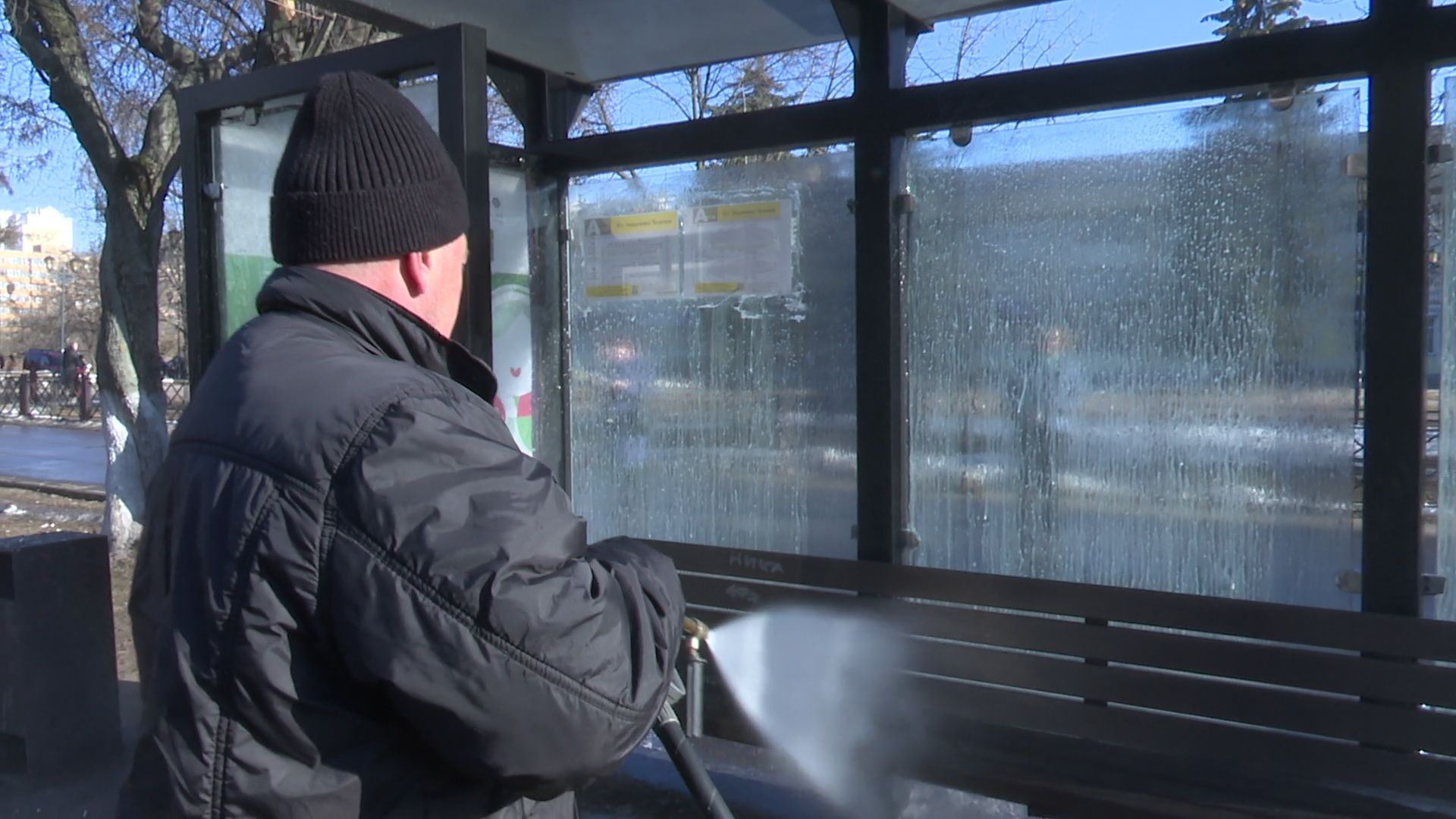 Реутов, благоустройство, уборка листвы, покраска деревьев, чистое подмосковье,