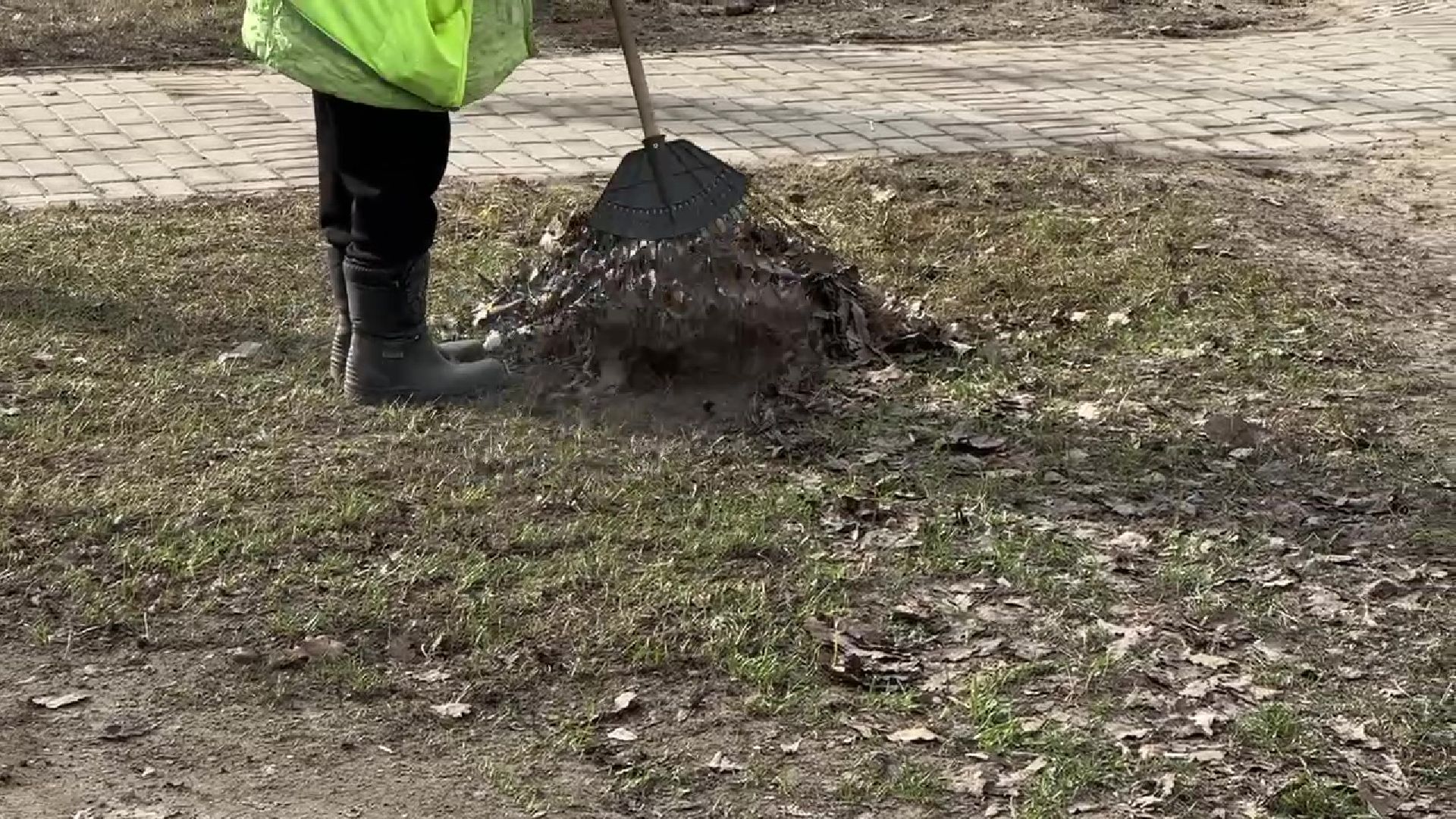 Реутов, благоустройство, уборка листвы, покраска деревьев, чистое подмосковье,