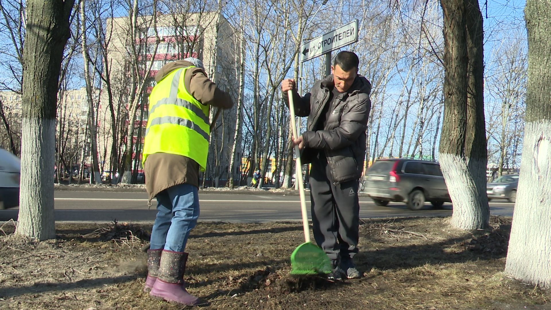 Реутов, благоустройство, уборка листвы, покраска деревьев, чистое подмосковье,