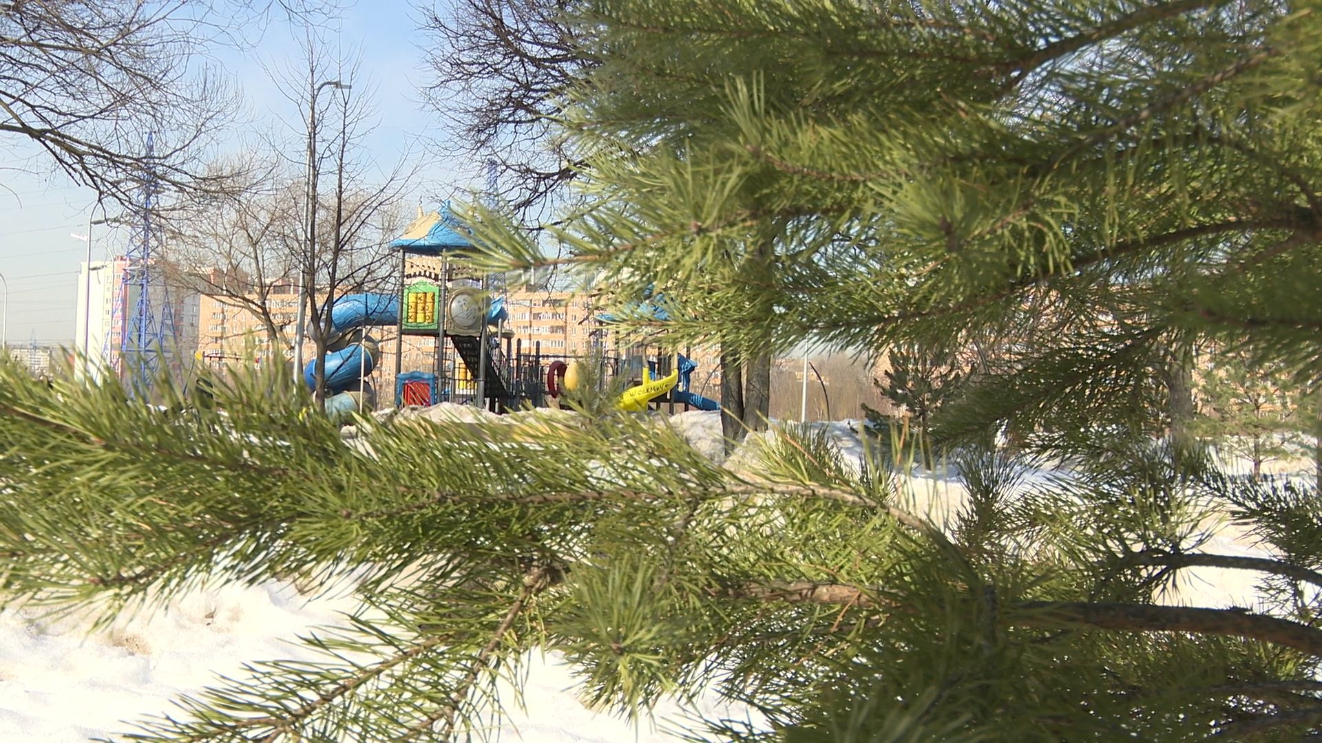 Реутов, благоустройство, уборка листвы, покраска деревьев, чистое подмосковье,