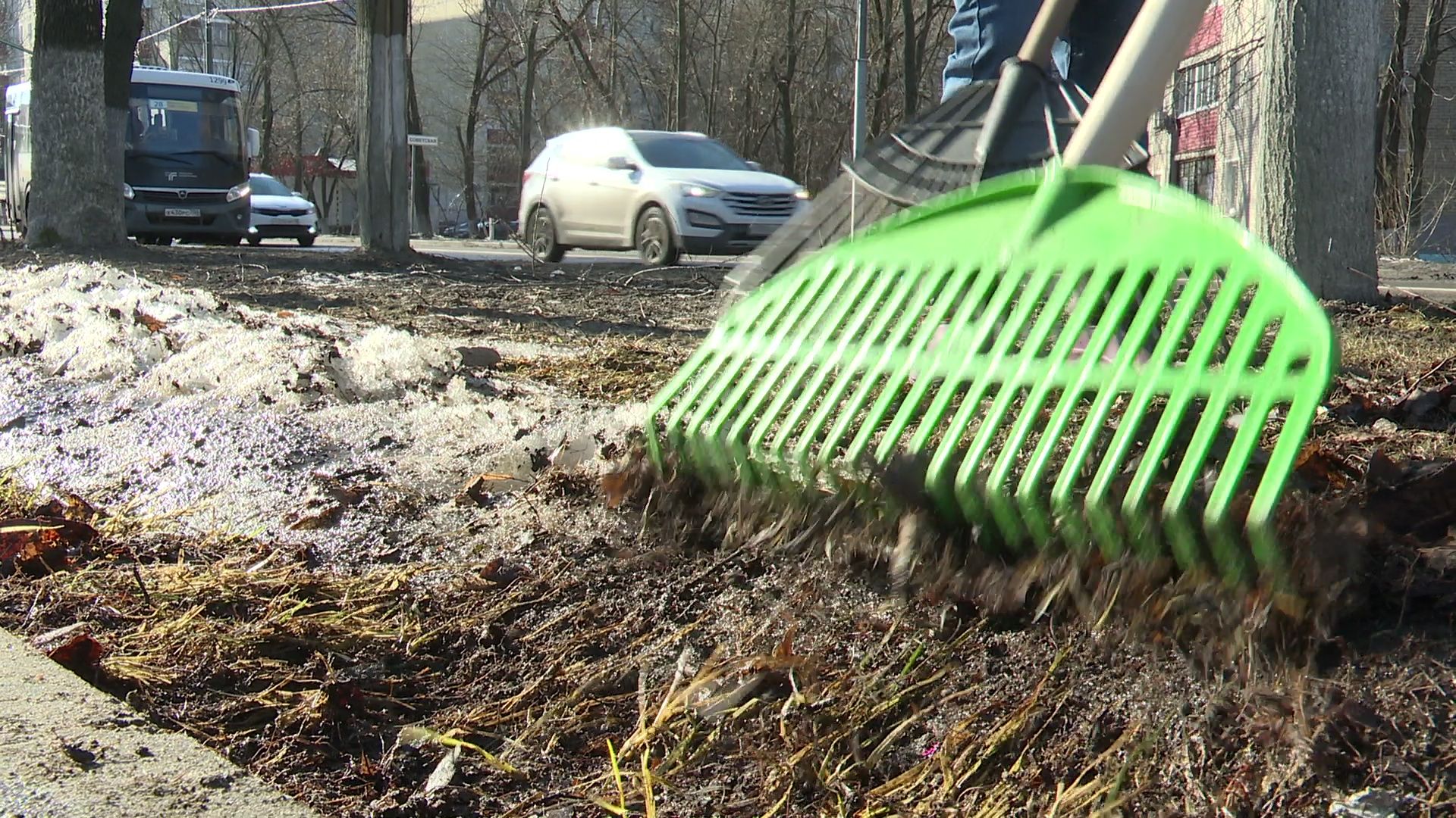 Реутов, благоустройство, уборка листвы, покраска деревьев, чистое подмосковье,