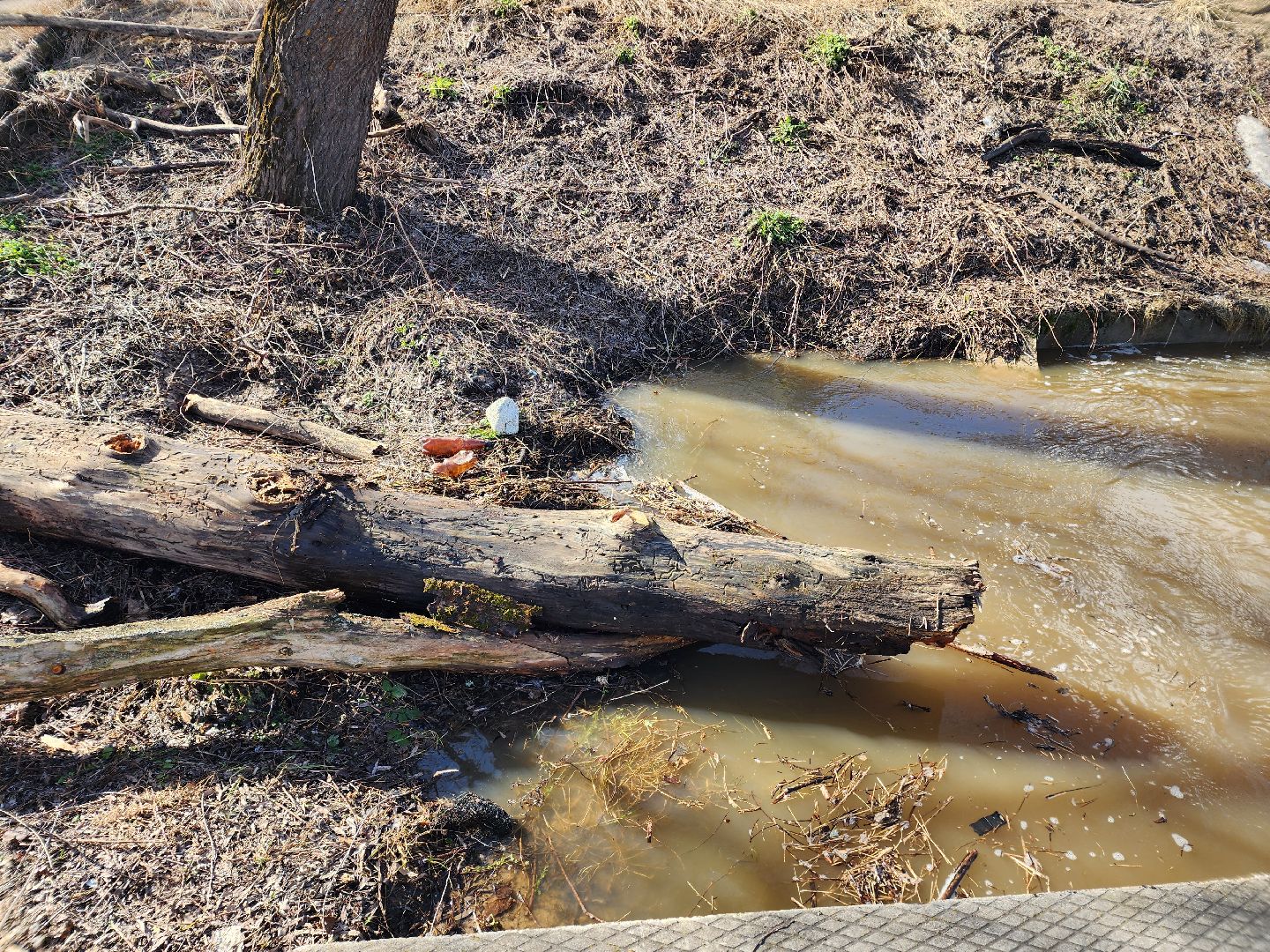 подтопления, разлив реки, борьба с паводком,