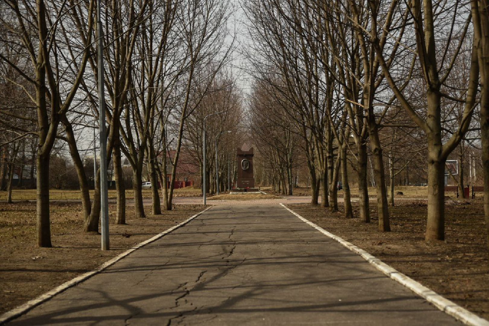 Бронницы, Памятник Пушкину, Возложение цветов, 25 лет памятнику Пушкина, Мемориальный парк Пушкина,