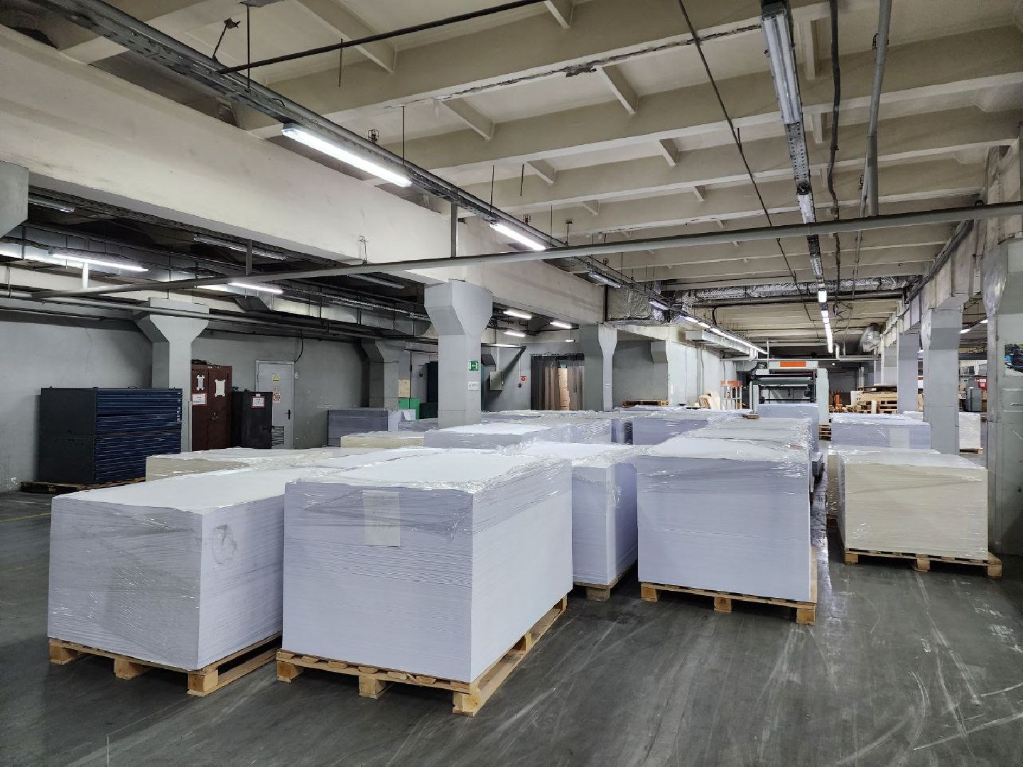 чехов, экономика, чеховский печатный двор, книги, типография,