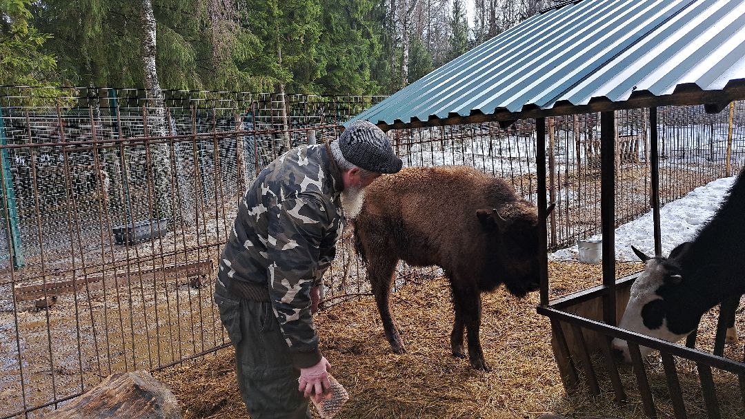 Зубр Оленья ферма Олени животные туризм