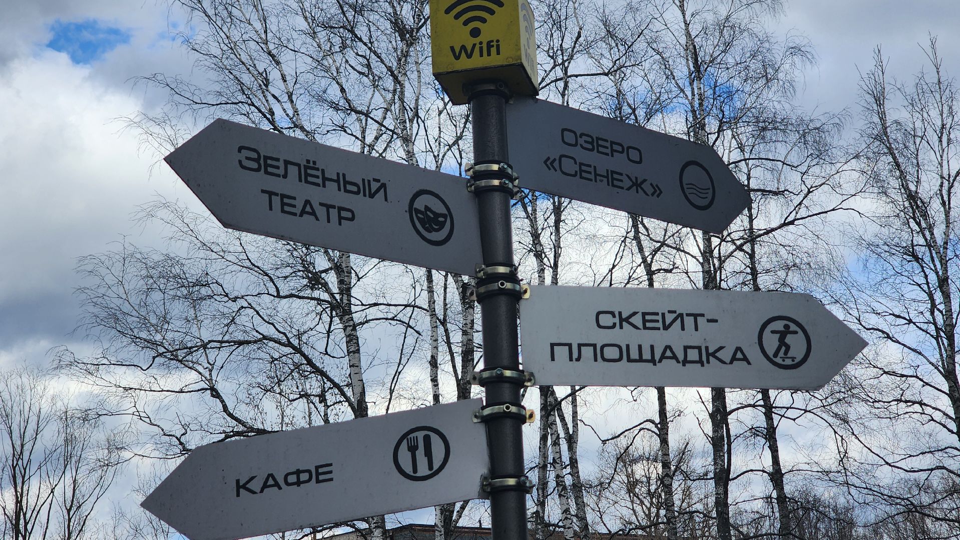 солнечногорск, парк, уборка,