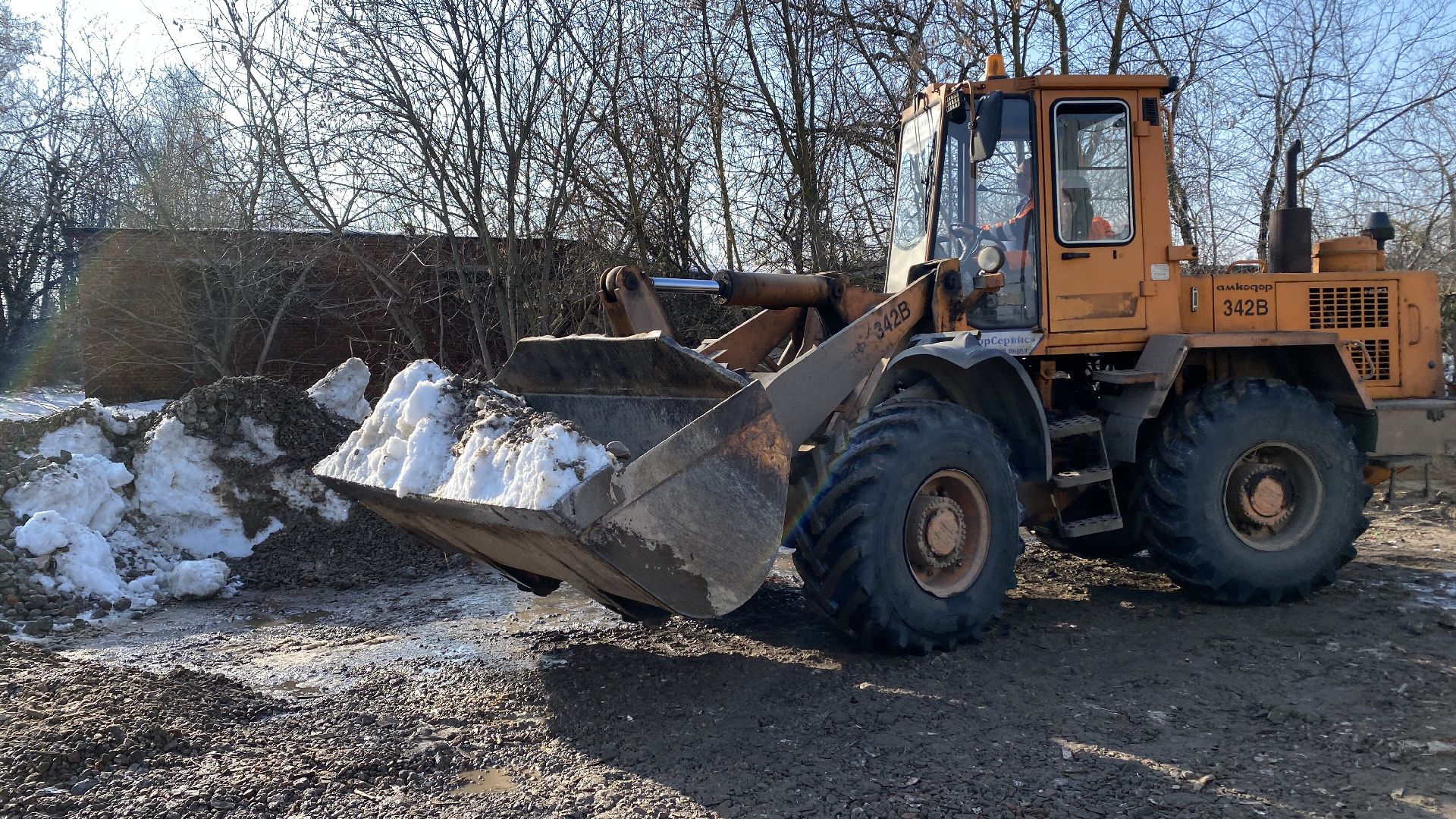 подтопления, приют для животных, дороги, спасение животных, приют Домошний,