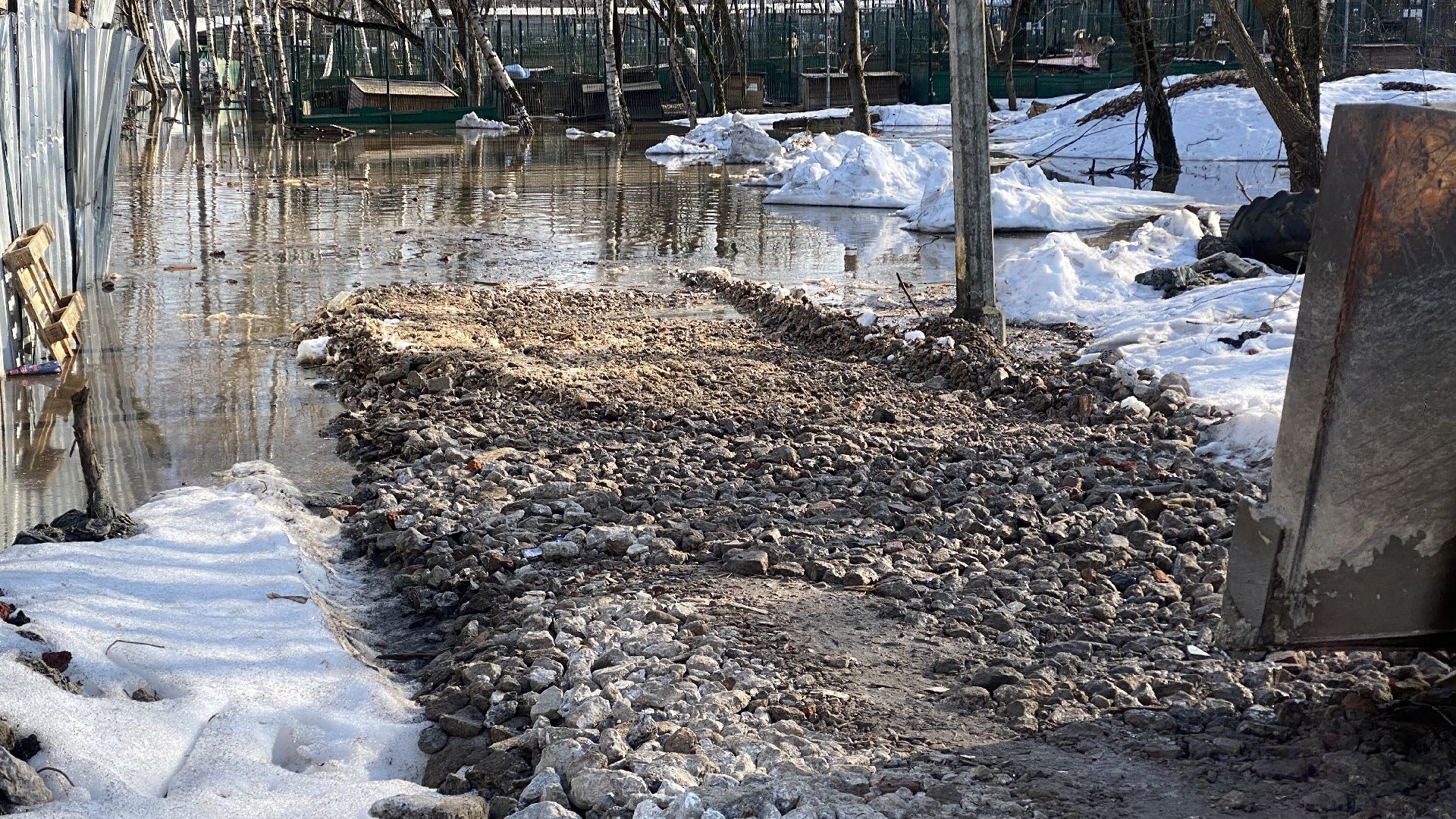 подтопления, приют для животных, дороги, спасение животных, приют Домошний,