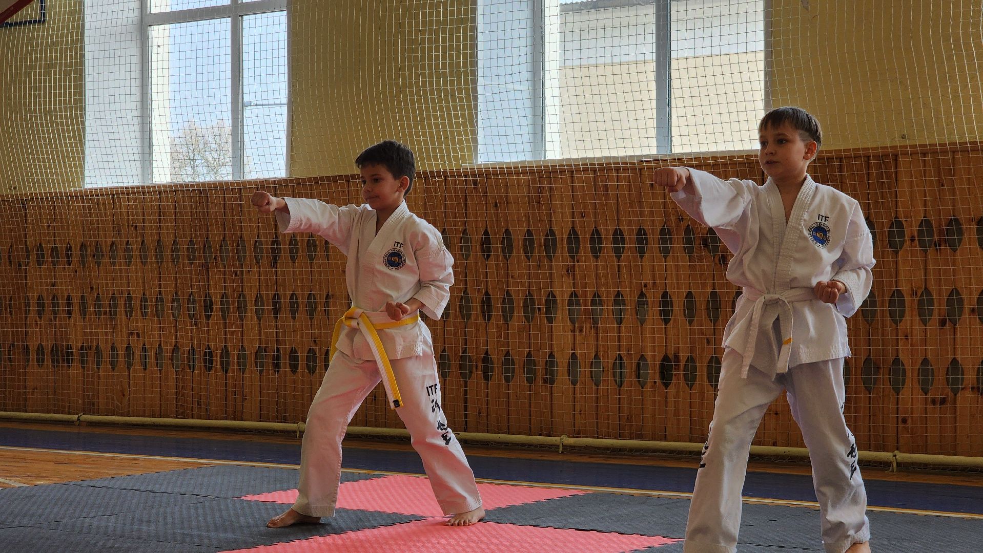 ступино, теквондо, спорт подмосковья,