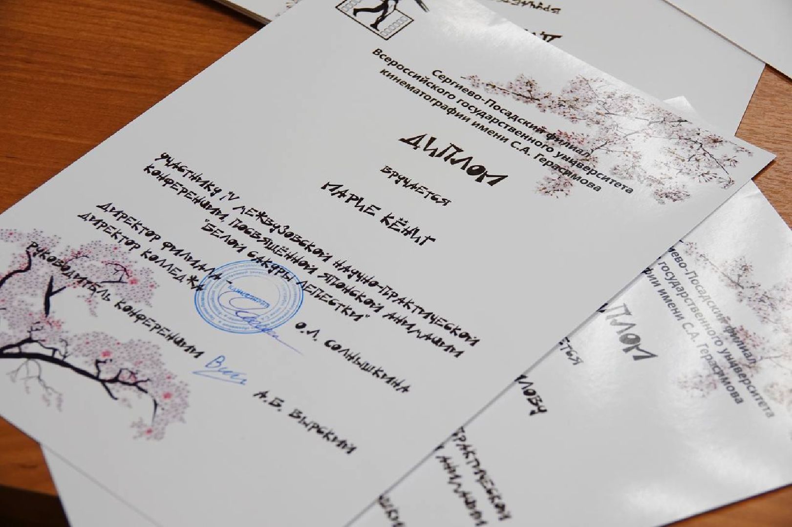 Сергиев Посад, филиал ВГИКа, Аниме, Режиссеры, Мультипликаторы, Студенты, Фестиваль аниме, Научная конференция,