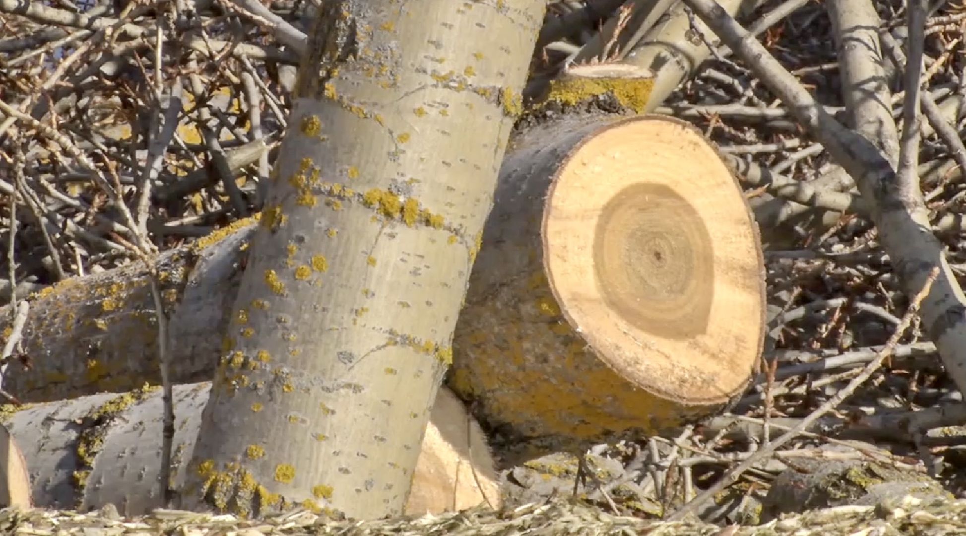 Клин, общество, перемены, благоустройство, ЖКХ,