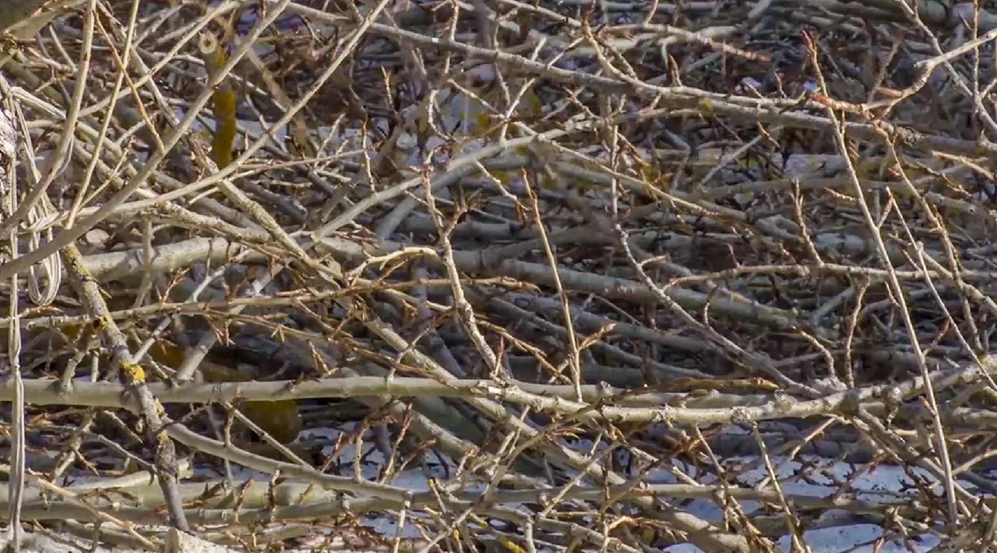 Клин, общество, перемены, благоустройство, ЖКХ,