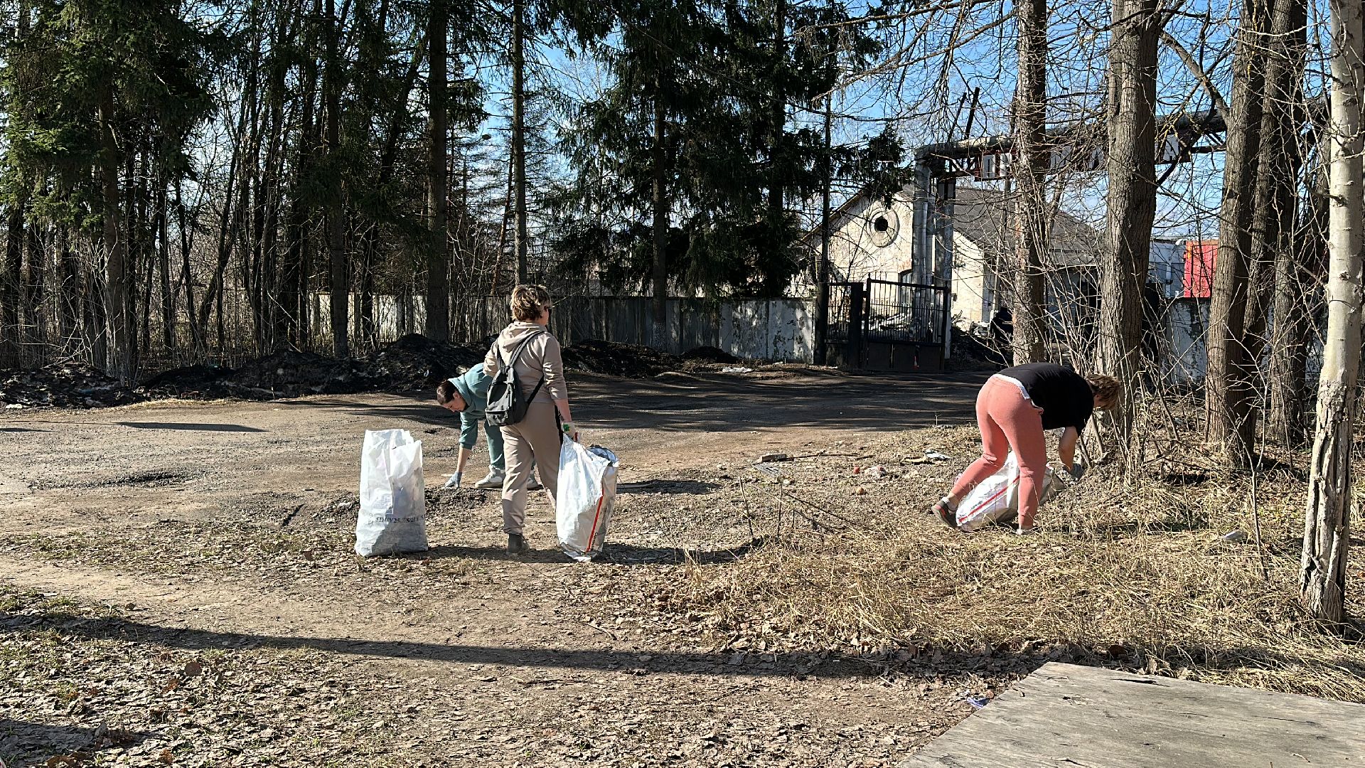 Клин, общество, благоустройство, субботники, люди,
