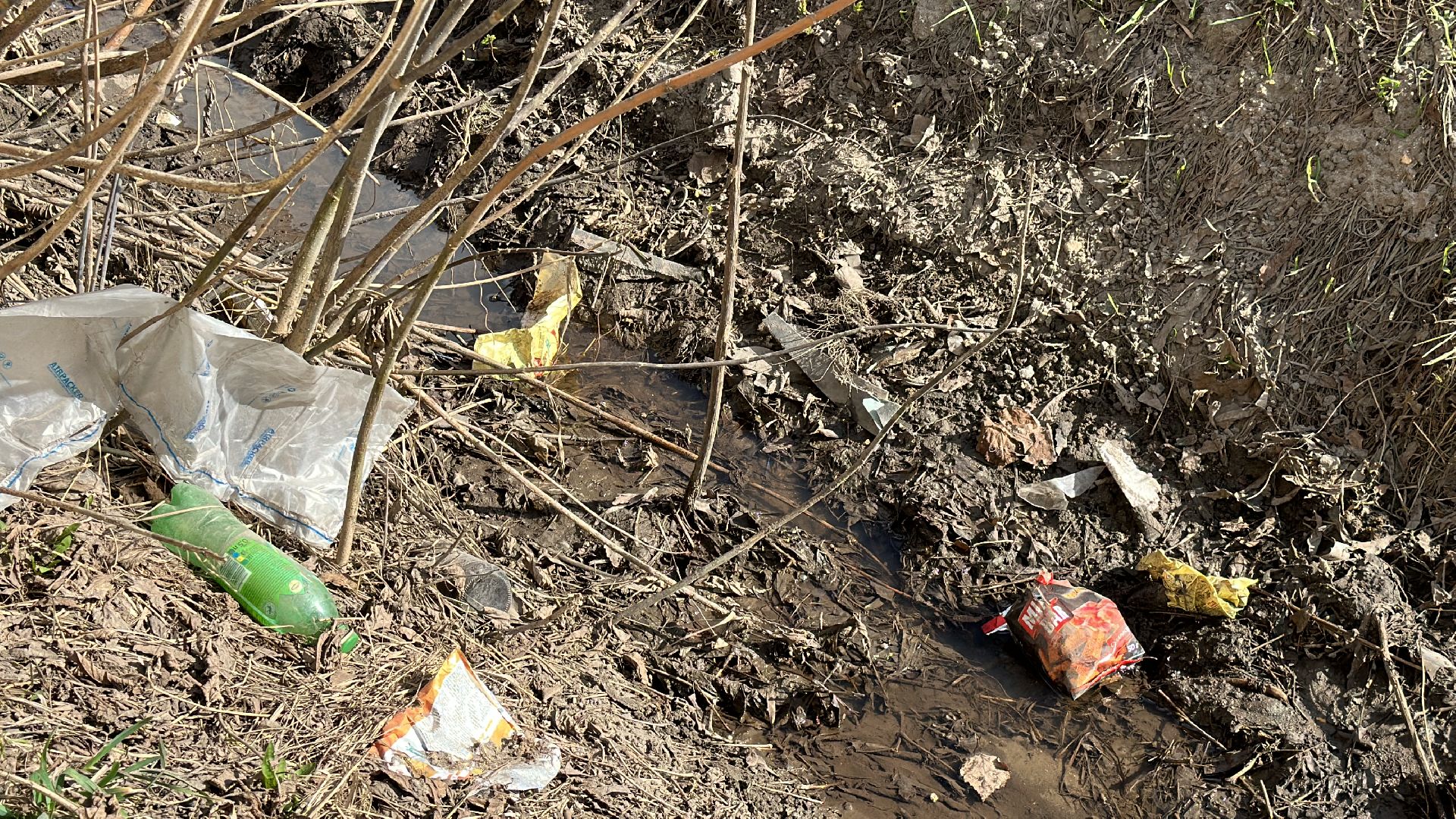 Клин, общество, благоустройство, субботники, люди,