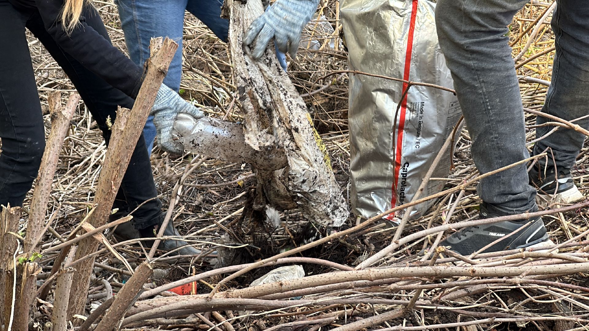 Клин, общество, благоустройство, субботники, люди,