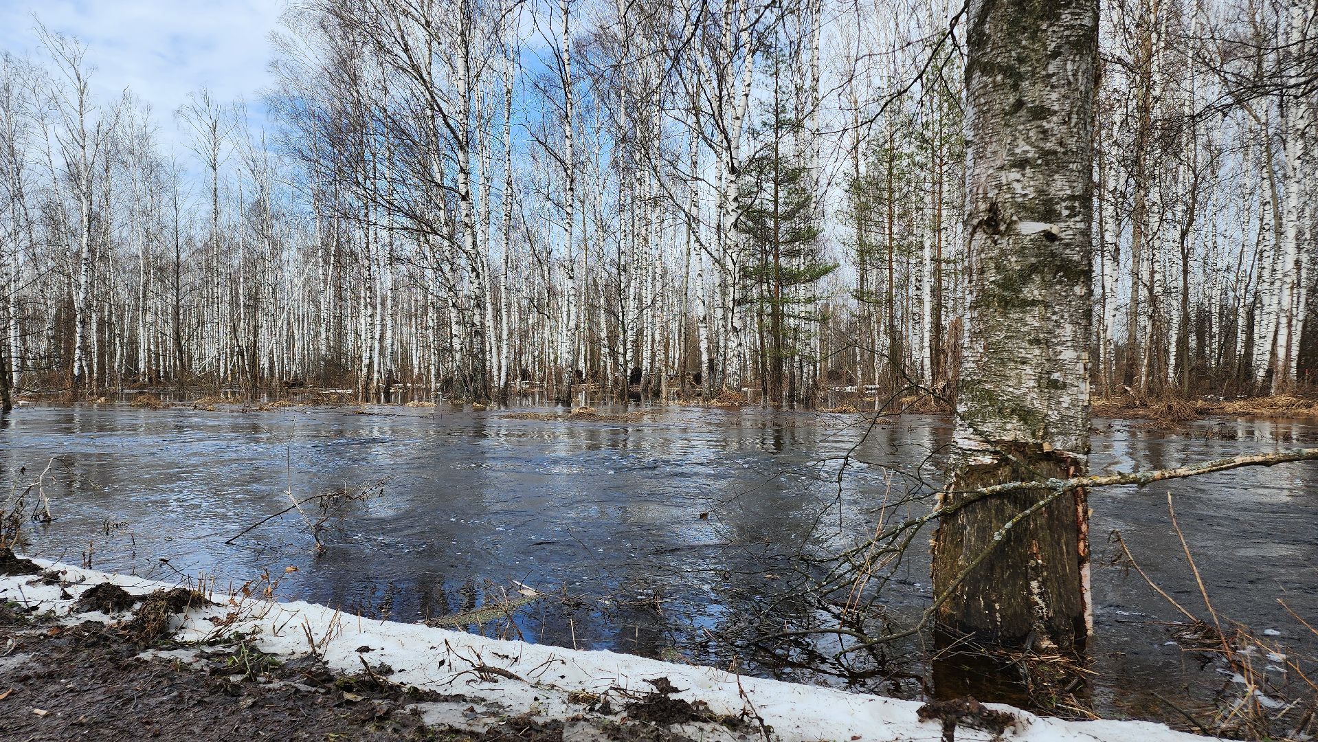 Егорьевск, подтопление, Подмосковье,