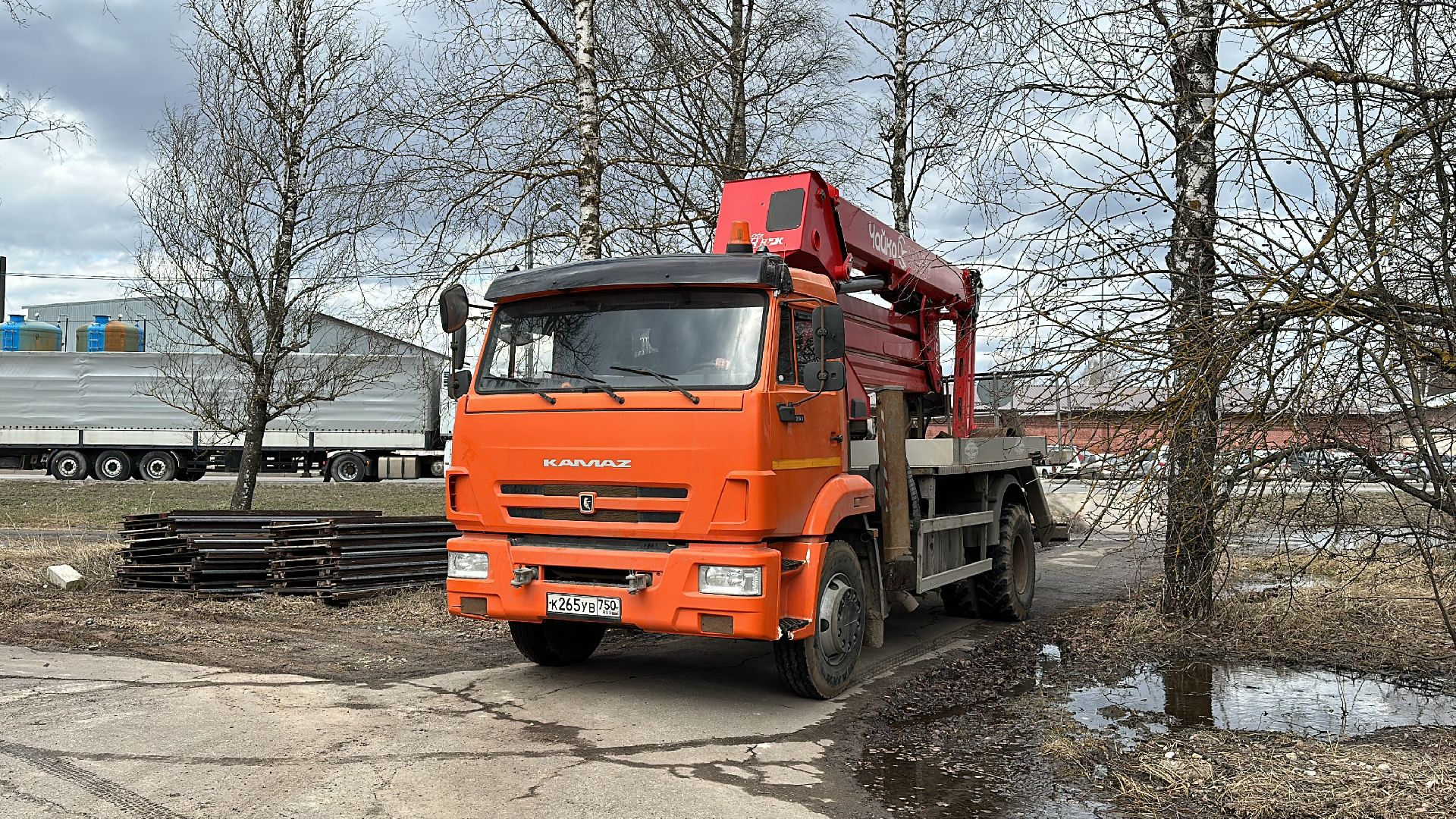 Клин, общество, благоустройство, опиловка деревьев, ЖКХ,