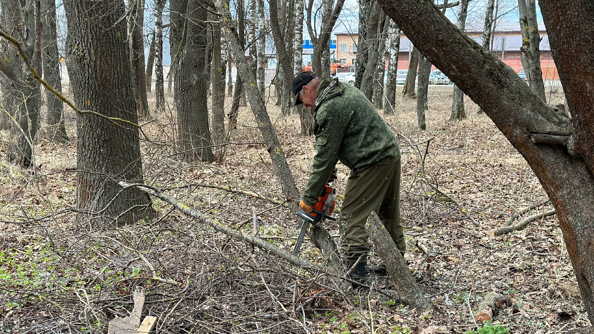 Клин, общество, благоустройство, опиловка деревьев, ЖКХ,