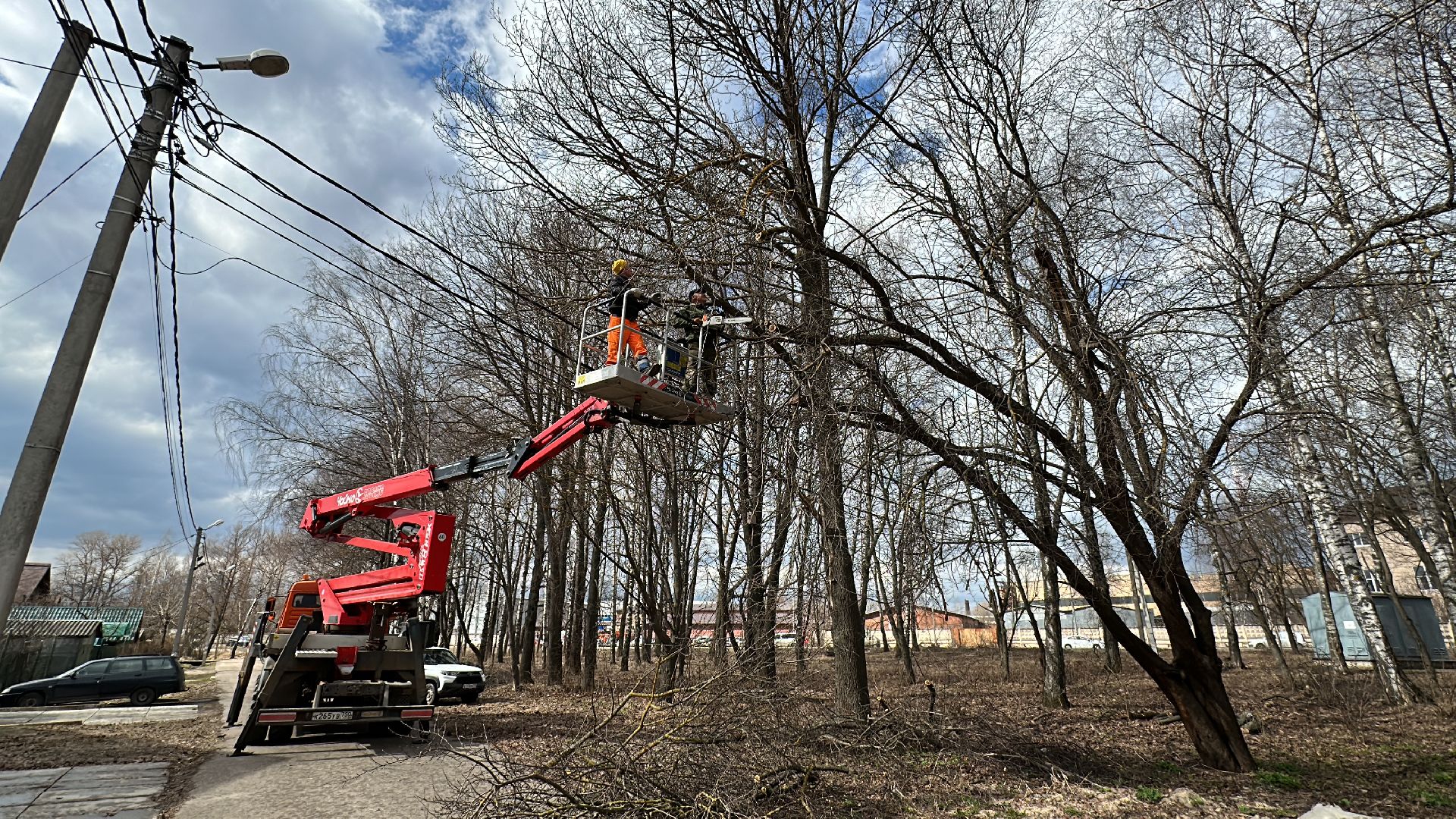 Клин, общество, благоустройство, опиловка деревьев, ЖКХ,