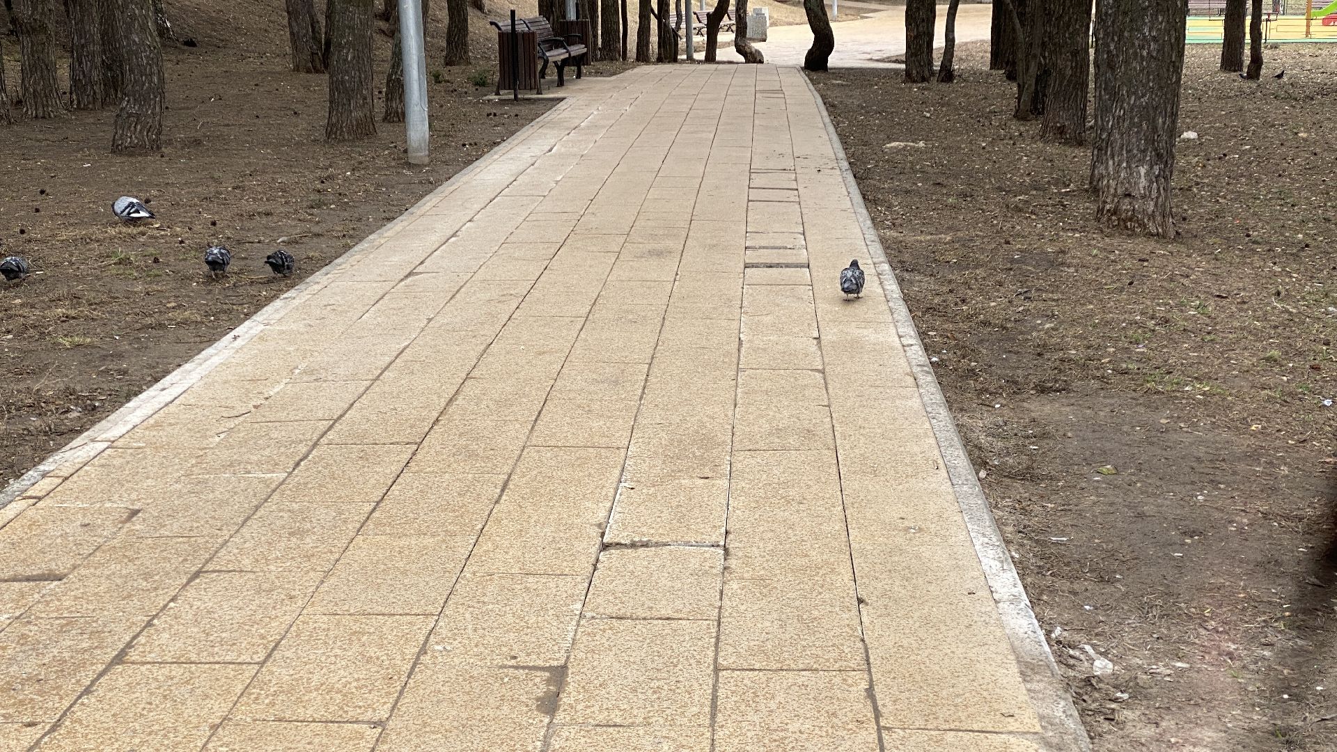 выездная администрация, ленинский городской округ, жители города, видное, станислав каторов,