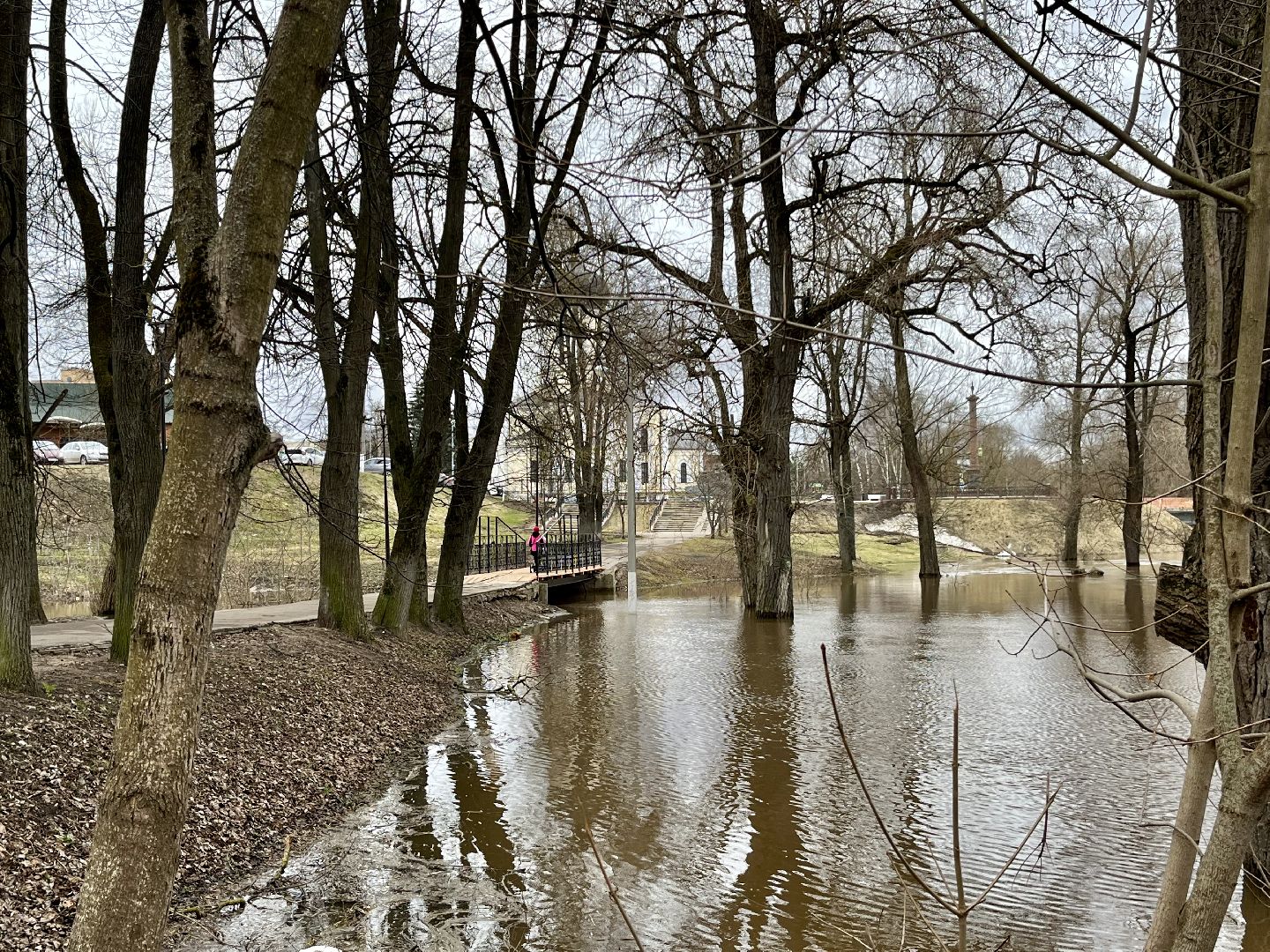 наро-фоминский городской округ, паводок, река нара,