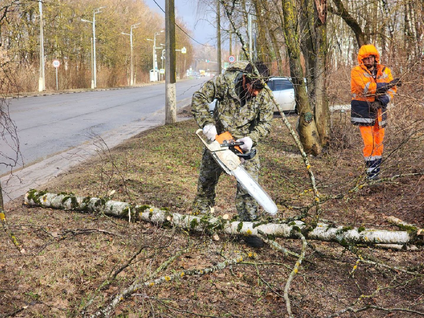 можайск, можайский городской округ, подмосковье, чп, порывы ветра, последствия непогоды, упавшие деревья, коммунальщики,