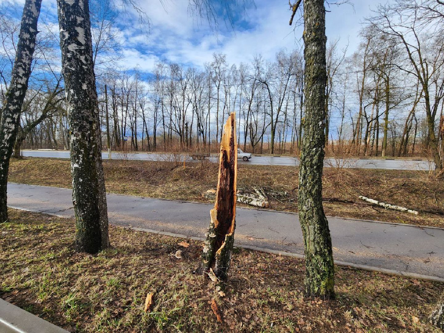 можайск, можайский городской округ, подмосковье, чп, порывы ветра, последствия непогоды, упавшие деревья, коммунальщики,