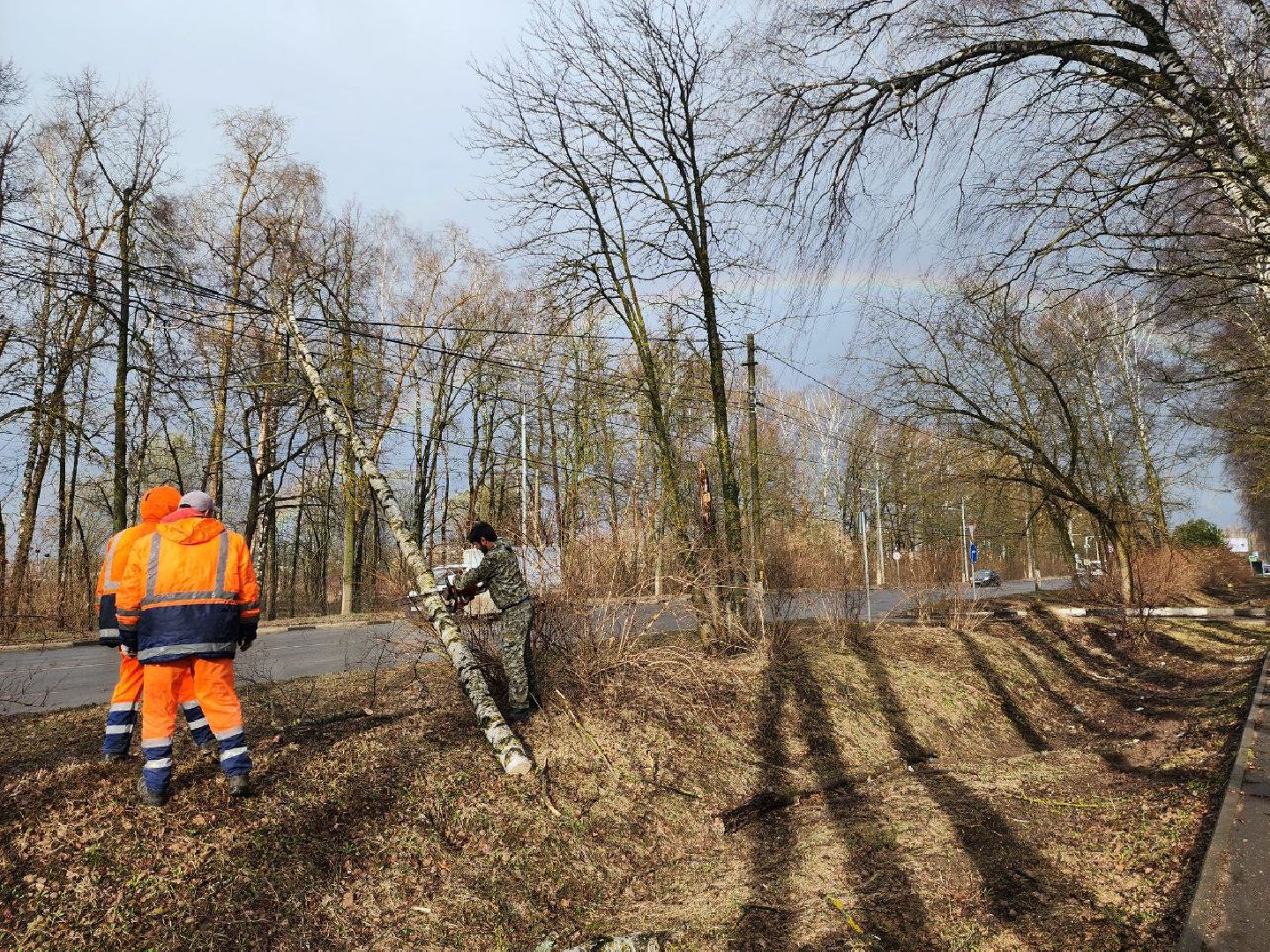 можайск, можайский городской округ, подмосковье, чп, порывы ветра, последствия непогоды, упавшие деревья, коммунальщики,