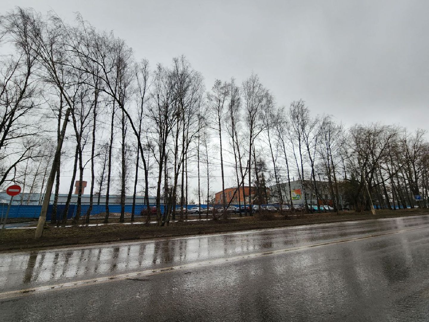 можайск, можайский городской округ, подмосковье, чп, порывы ветра, последствия непогоды, упавшие деревья, коммунальщики,