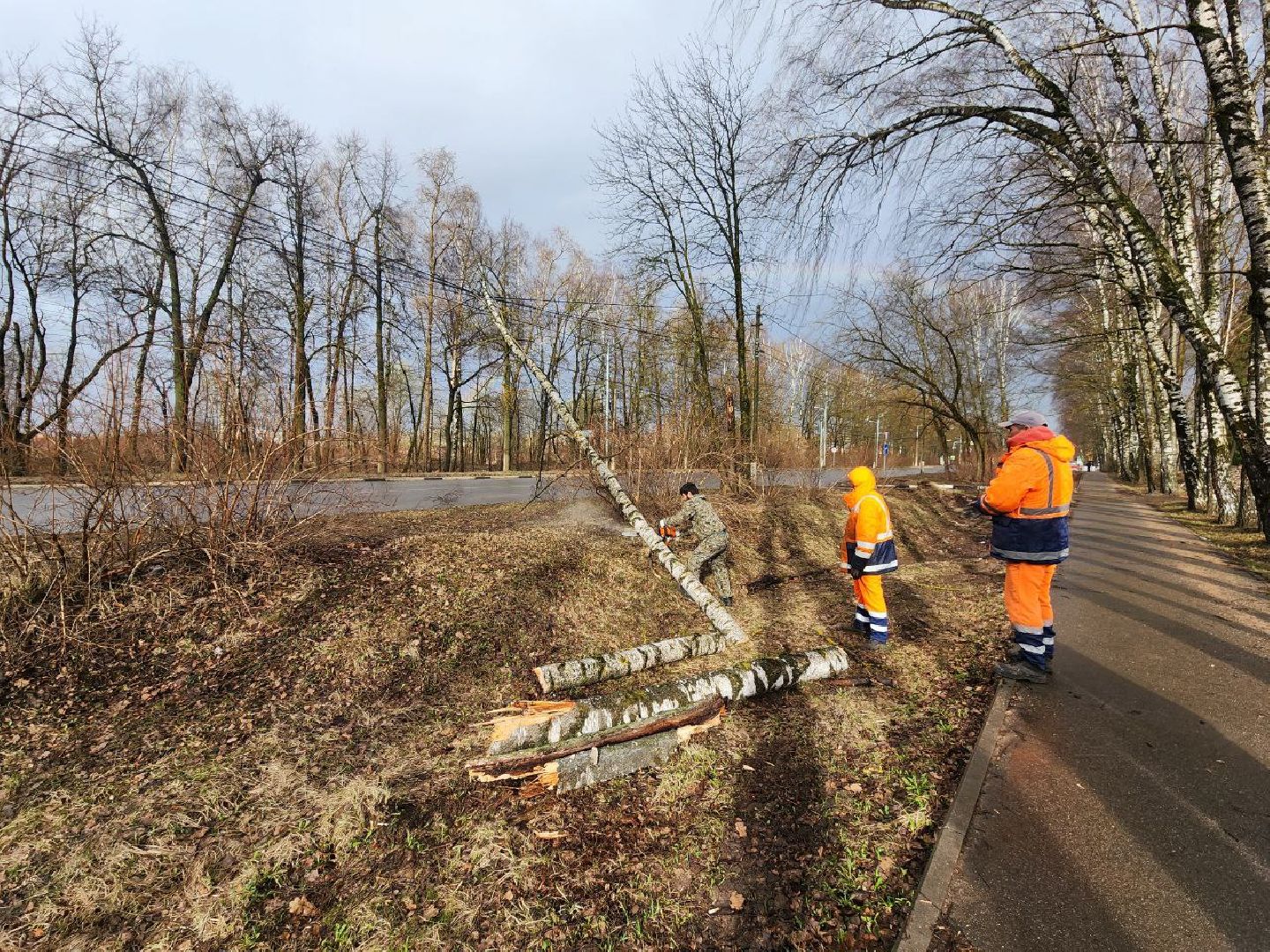 можайск, можайский городской округ, подмосковье, чп, порывы ветра, последствия непогоды, упавшие деревья, коммунальщики,