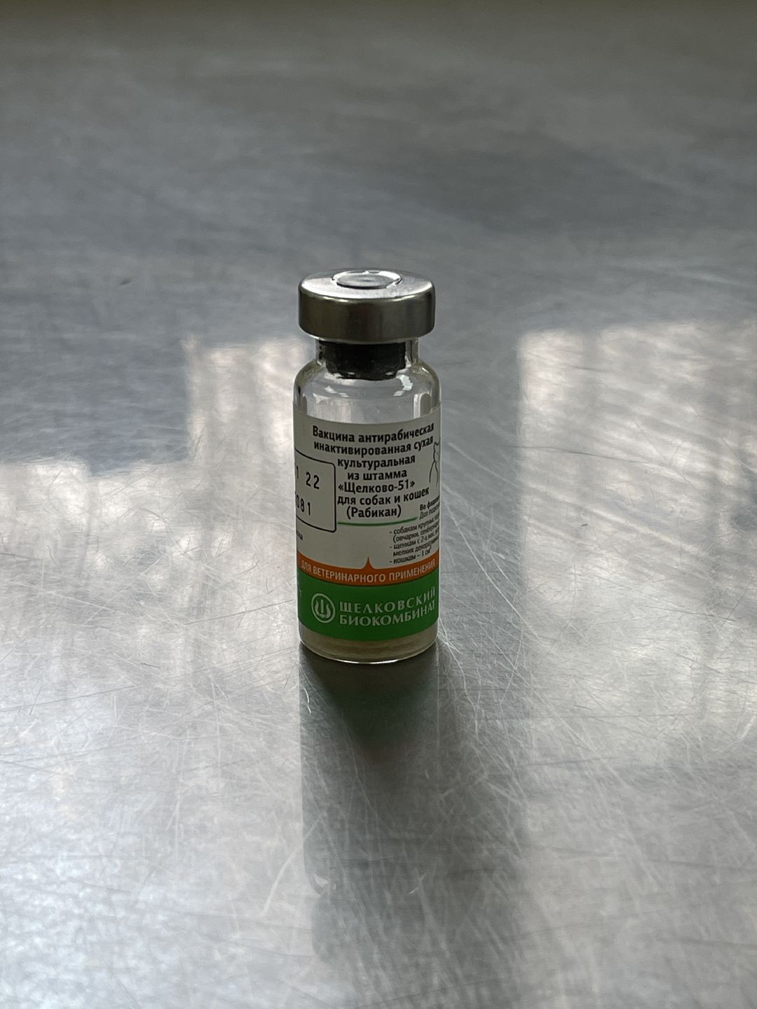 Одинцово, Одинцовский округ, бешенство, животные, кошки, собаки, ветеринария,