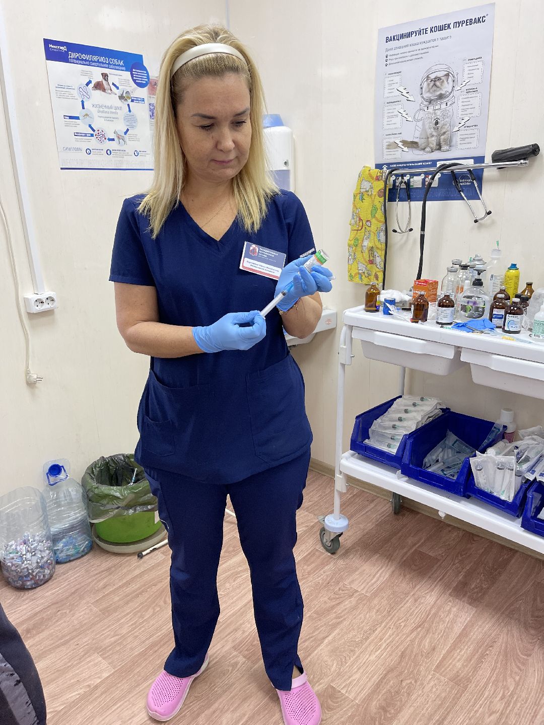 Одинцово, Одинцовский округ, бешенство, животные, кошки, собаки, ветеринария,