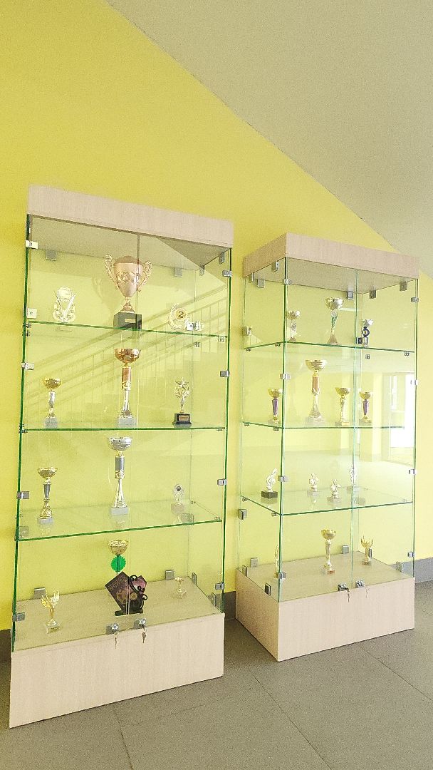 электросталь, образование, образование мо, образование подмосковья, мой город, жители города, первый класс, первоклассники, запись в первый класс, госуслуги, гимназия 9,