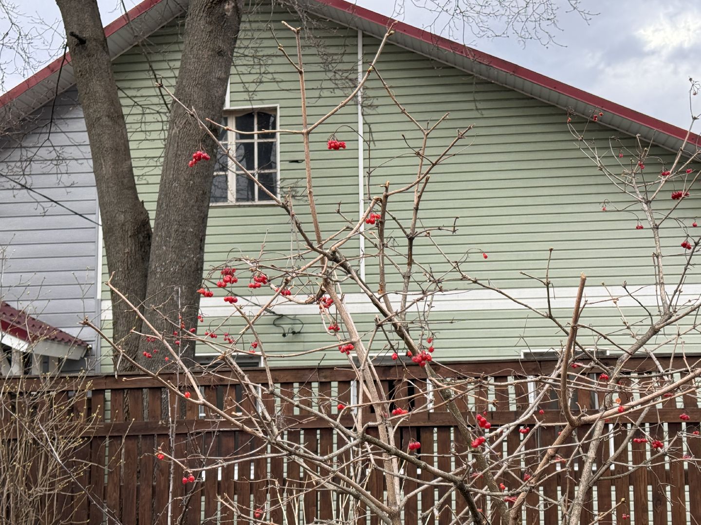 Одинцово, Маяковский, Малевич,