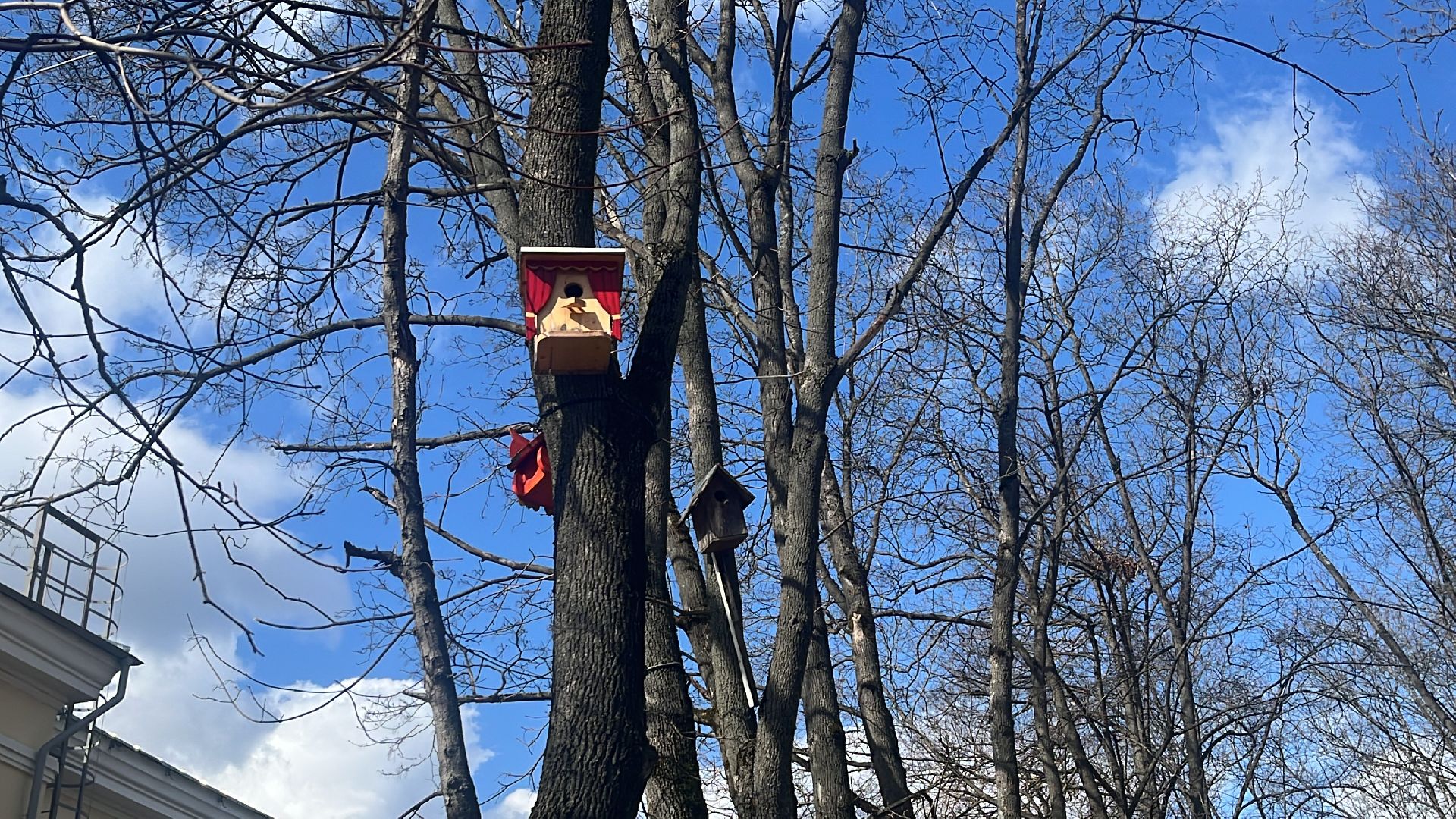 скворечник, скворечники, день пво, патриотика,