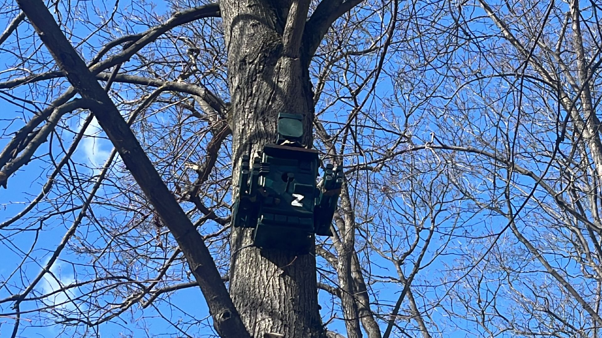 скворечник, скворечники, день пво, патриотика,