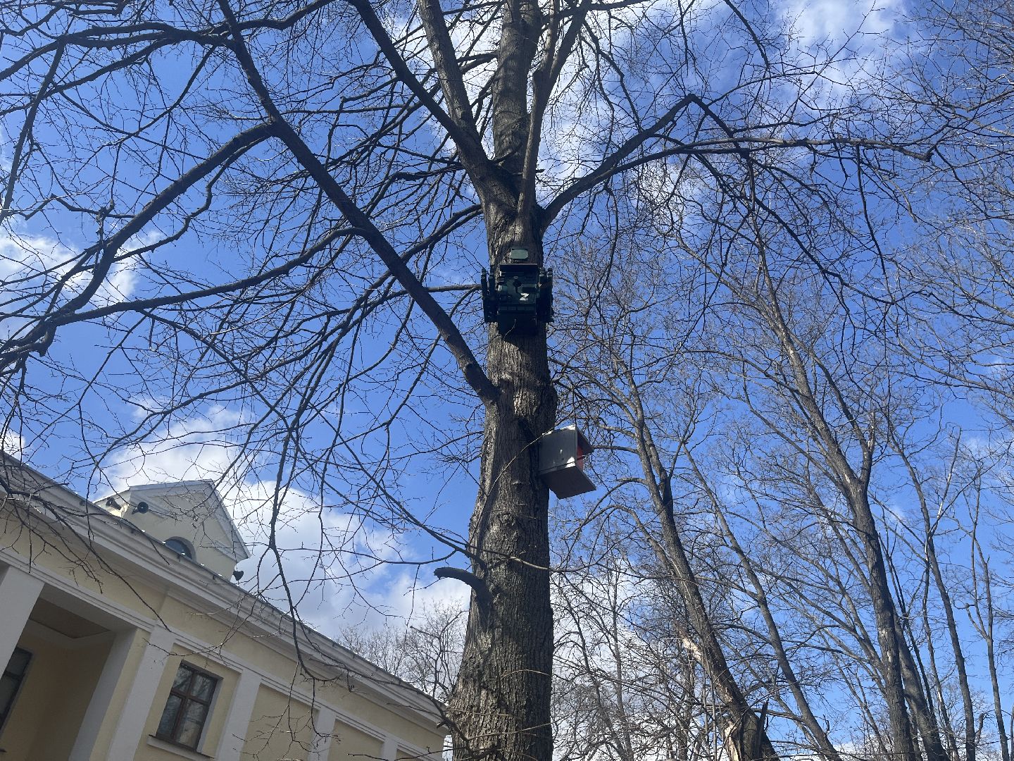 скворечник, скворечники, день пво, патриотика,