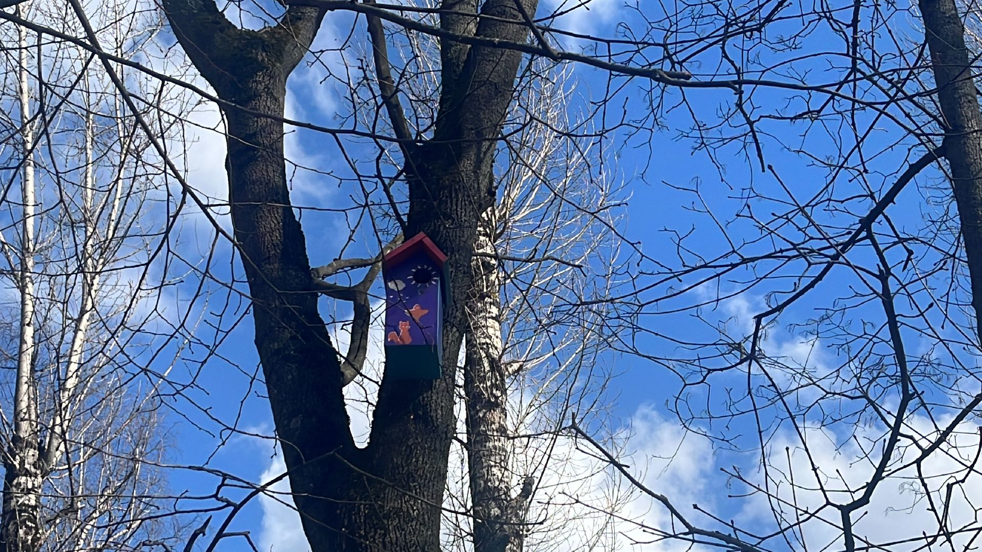 скворечник, скворечники, день пво, патриотика,
