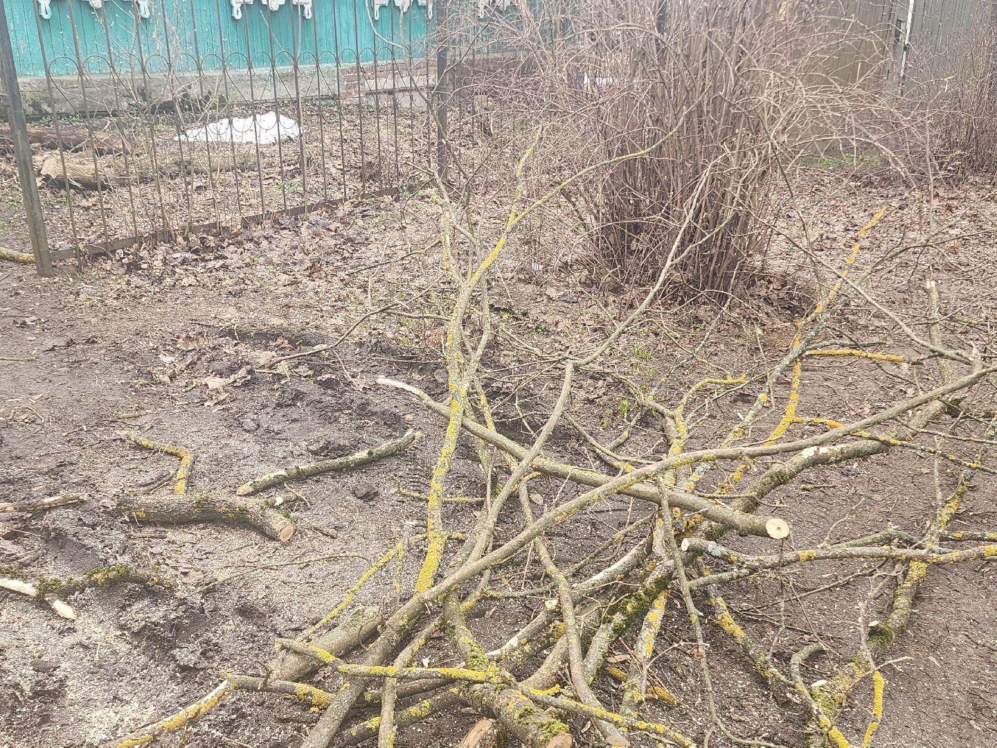 ураган, последствия стихии,