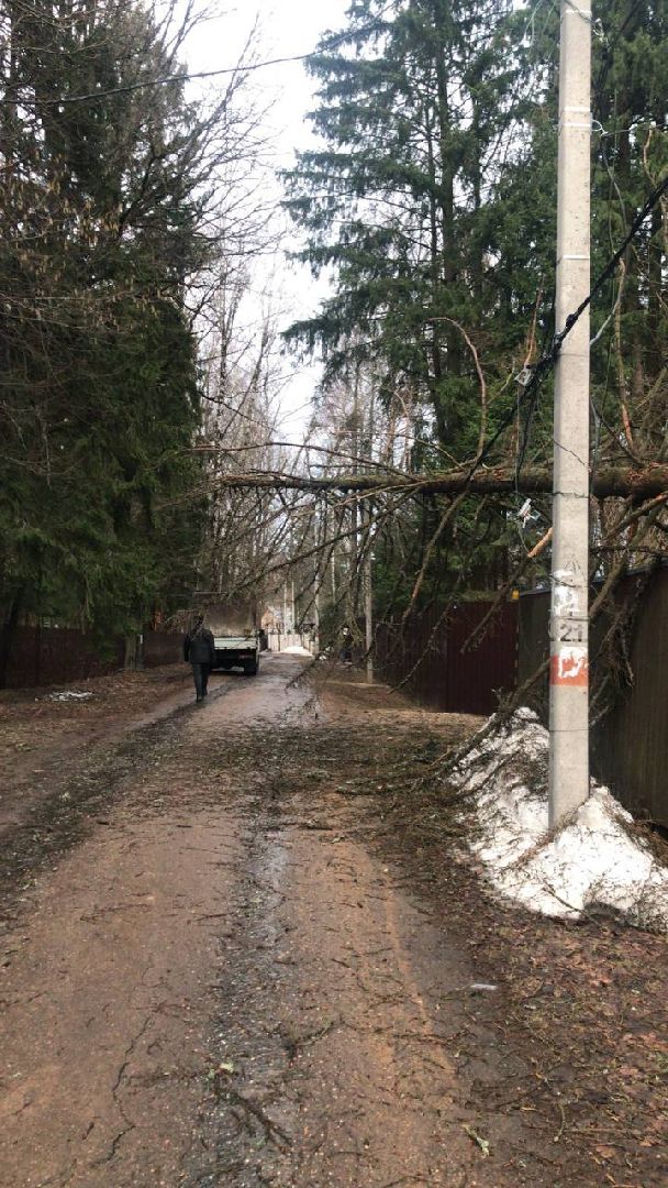 ураган, последствия стихии,