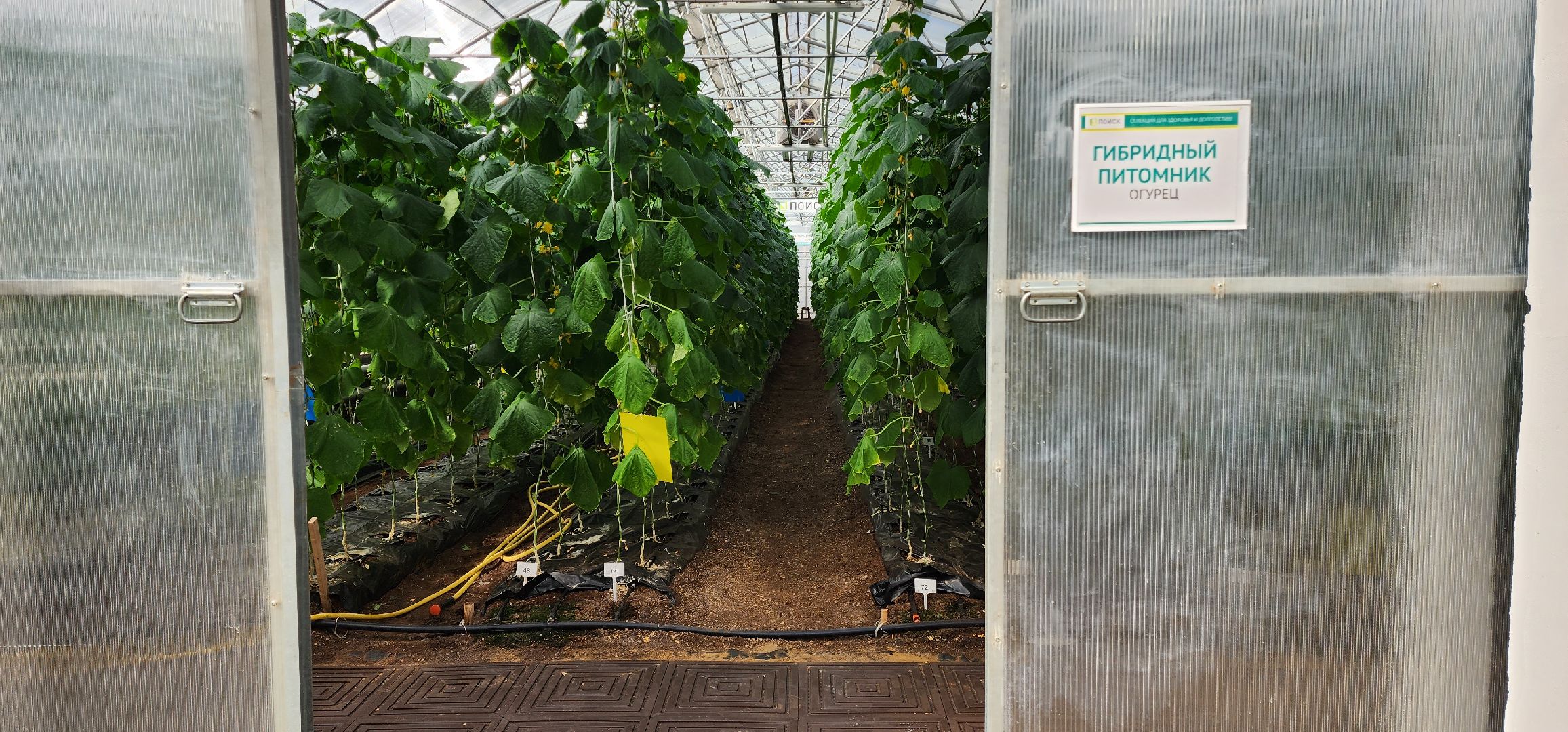 раменское, сельское хозяйство, агрофирма поиск, подготовка кадров в сельскохозяйственной отрасли,