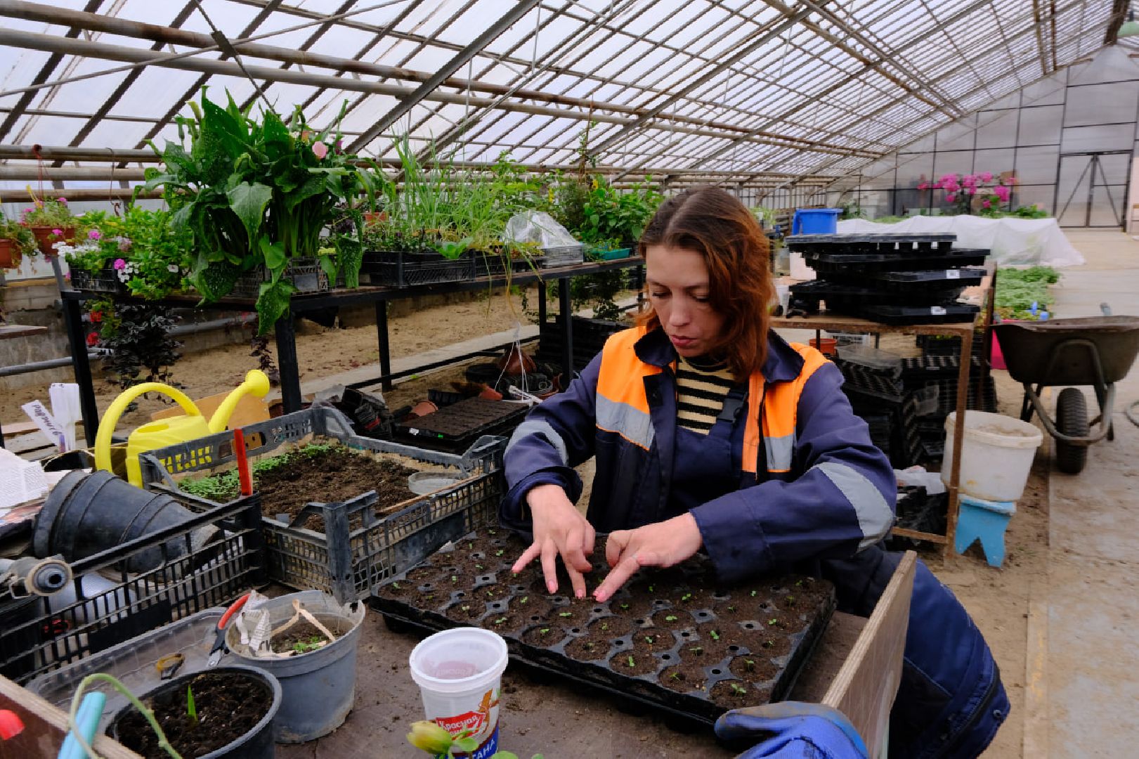 пущино, благоустойство, цветы,