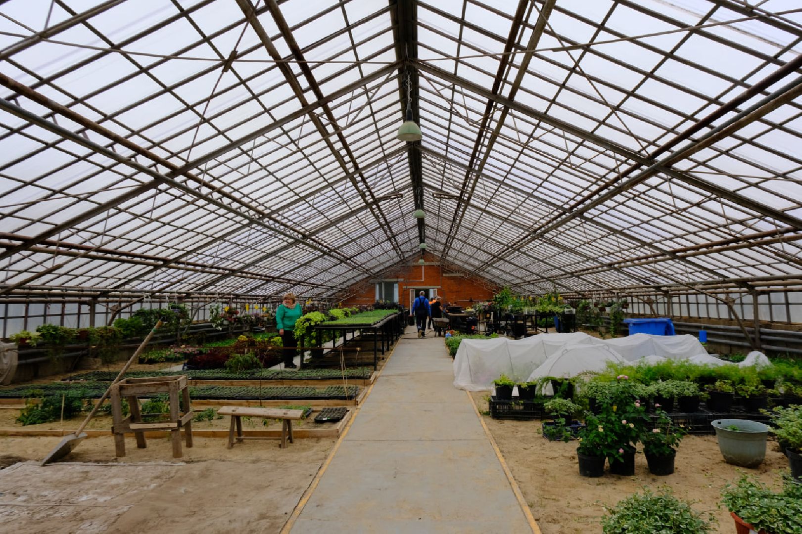 пущино, благоустойство, цветы,