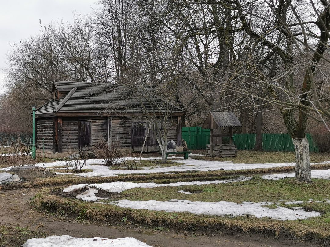 Подольск, перемены, цветы