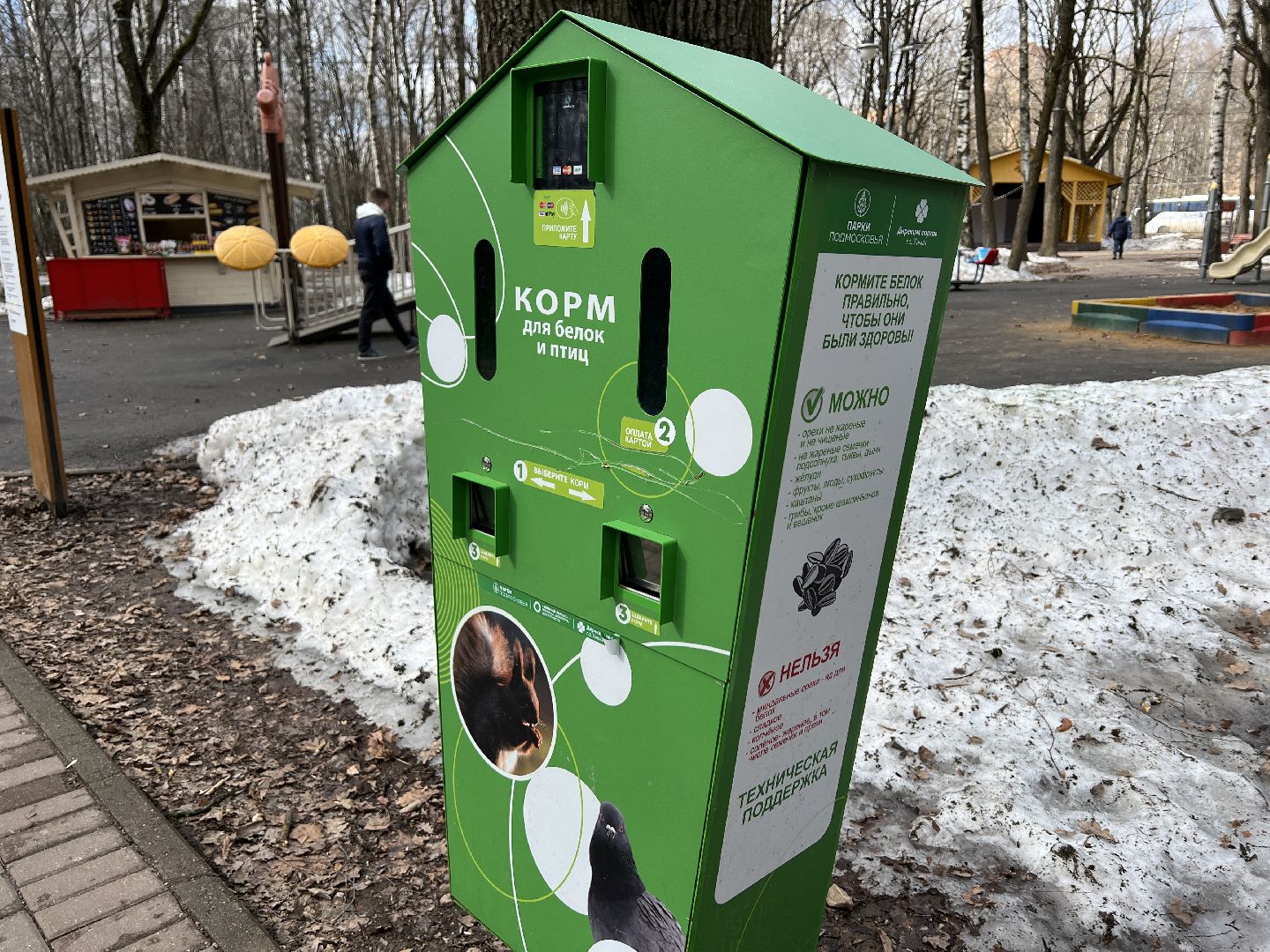 химки, парк, белки, общество,