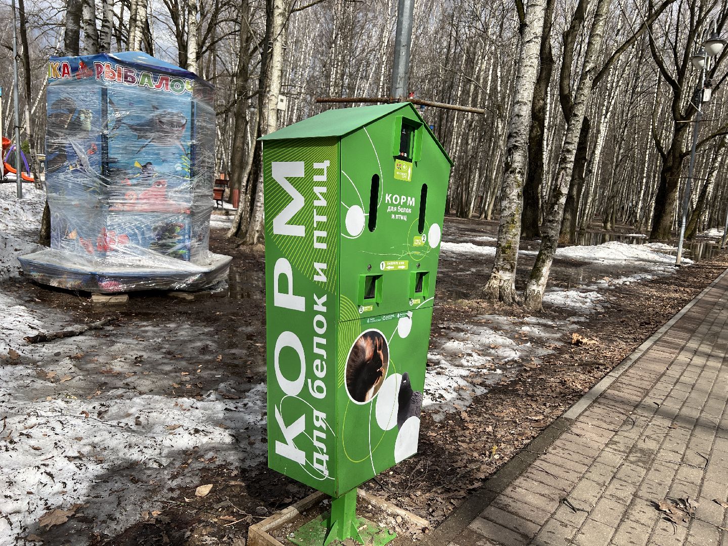 химки, парк, белки, общество,