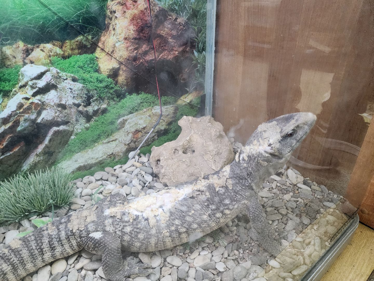 подольск, образование подмосковья, Оранжерея, Школьные проекты,