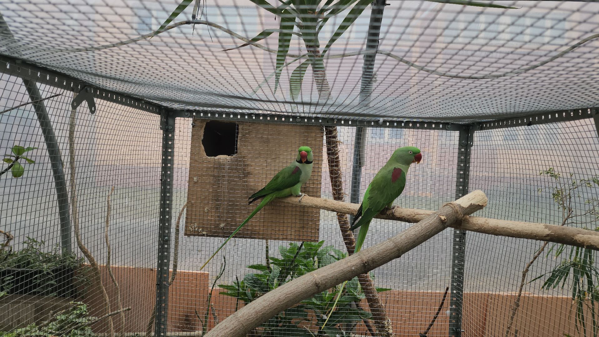 подольск, образование подмосковья, Оранжерея, Школьные проекты,