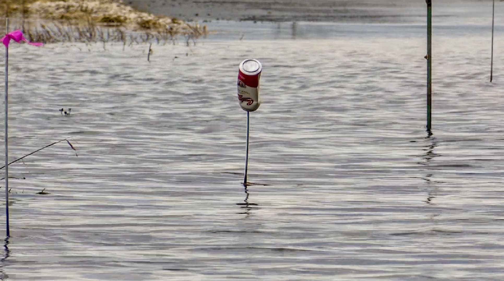 Клин, общество, противопаводковые мероприятия, спасатели, весна, таяние снега,